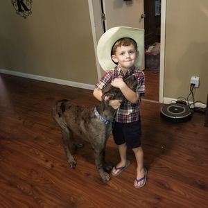 Meet your Posher, Jeff